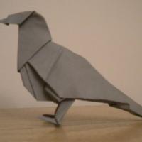 
<span>Pigeon</span>

