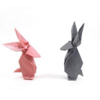 
<span>Rabbit</span>
