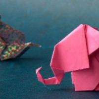 
<span>Elephant</span>
