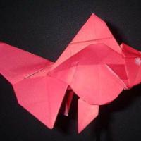
<span>Ryukin</span>
