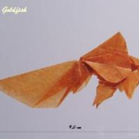 
<span>Veiltail goldfish</span>
