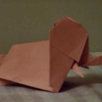 
<span>Elephant</span>
