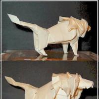 
<span>Lion</span>
