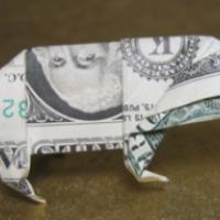 
<span>pig</span>
