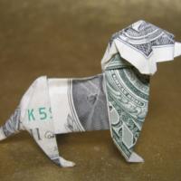 
<span>dog</span>
