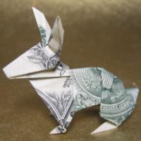 
<span>rabbit</span>
