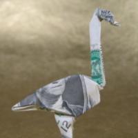 
<span>crane</span>
