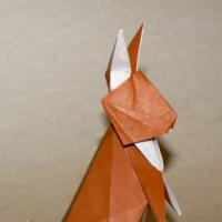 
<span>Rabbit</span>
