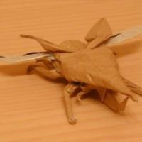 
<span>Flying Hercules Giant Beetle</span>
