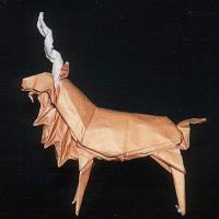 
<span>Markhor</span>

