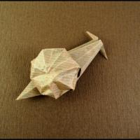 
<span>Snail</span>
