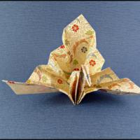 
<span>Crane - congratulations</span>
