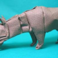 
<span>Warthog</span>
