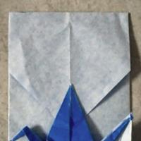 
<span>Crane envelope</span>
