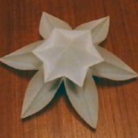 
<span>Snow flower (hexagon)</span>
