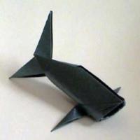
<span>Fish</span>
