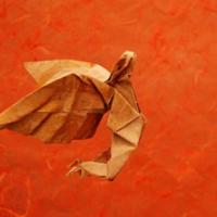
<span>Daedalus</span>

