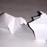 
<span>Polar bear</span>
