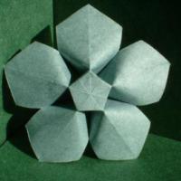 
<span>Flower</span>
