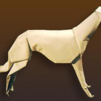 
<span>Greyhound</span>
