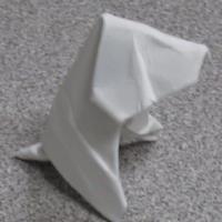 
<span>Puppy - business card</span>
