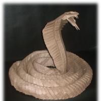 
<span>King Cobra</span>

