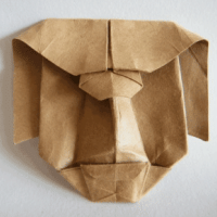 
<span>Wild mask</span>
