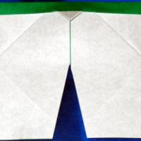
<span>Shorts</span>
