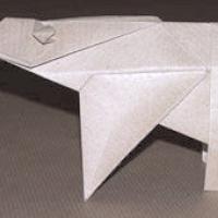 
<span>Polar bear</span>
