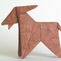 
<span>Goat</span>

