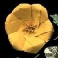 
<span>Flower with a star</span>
