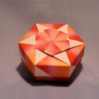
<span>Hexagon Box Flowery Pinwheel</span>
