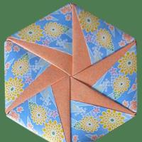 
<span>Hexagon Box Pinwheel</span>
