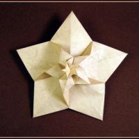 
<span>5-Fold Flower (CP)</span>
