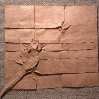 
<span>Gecko and Fly on a Wall</span>
