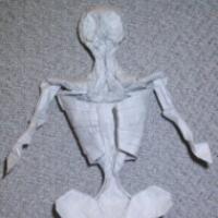 
<span>Skeleton</span>

