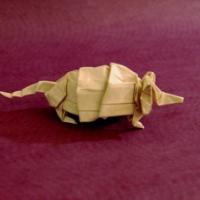 
<span>Armadillo</span>
