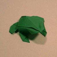 
<span>Toad</span>
