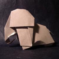 
<span>Elephant</span>
