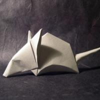 
<span>Mouse</span>
