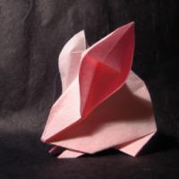 
<span>Rabbit</span>
