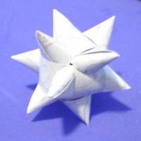 
<span>Pandanus star</span>
