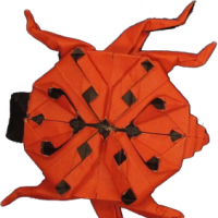 
<span>Spotted Ladybug</span>
