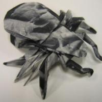 
<span>Tarantula</span>
