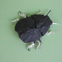 
<span>Scarab Beetle</span>
