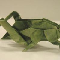 
<span>Grasshopper</span>
