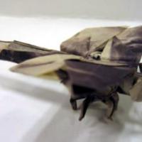 
<span>Dragonfly</span>
