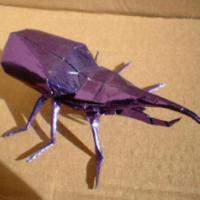 
<span>Hercules Beetle</span>
