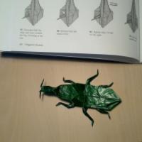 
<span>Long Necked Seed Bug</span>

