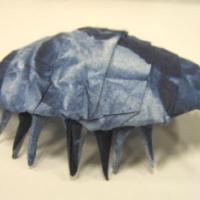
<span>Pill Bug</span>
